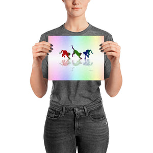 RAINBOW REFLECTIONS Poster - COOOL CATS