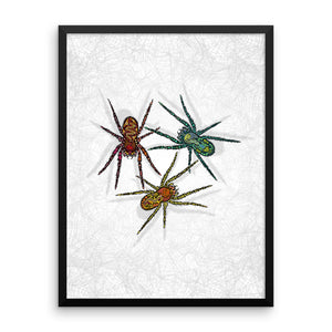 SPIDERS Framed poster - COOOL CATS