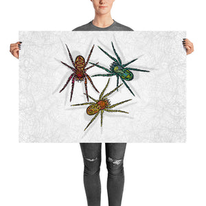 SPIDER Poster - COOOL CATS