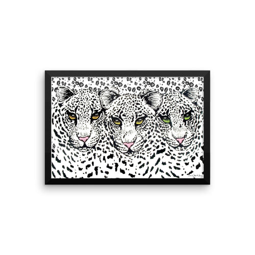 SNOW CHEETAHS Framed poster - COOOL CATS