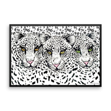 SNOW CHEETAHS Framed poster - COOOL CATS