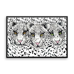 SNOW CHEETAHS Framed poster - COOOL CATS