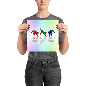 RAINBOW REFLECTIONS Poster - COOOL CATS
