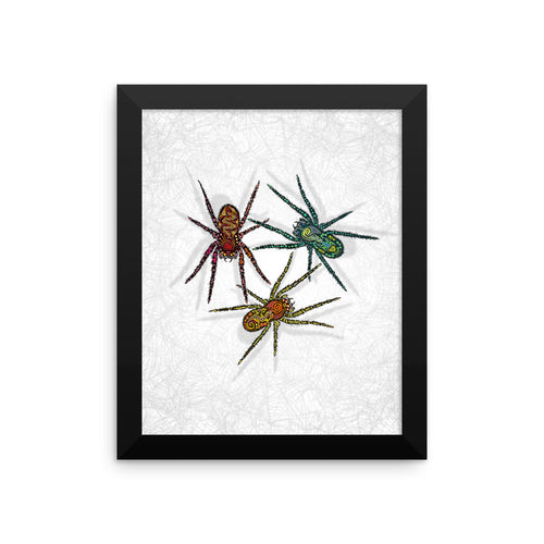 SPIDERS Framed poster - COOOL CATS