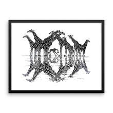 GIRAFFE REFLECTIONS Framed poster - COOOL CATS