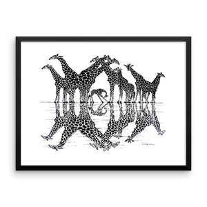 GIRAFFE REFLECTIONS Framed poster - COOOL CATS