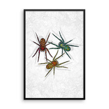 SPIDERS Framed poster - COOOL CATS